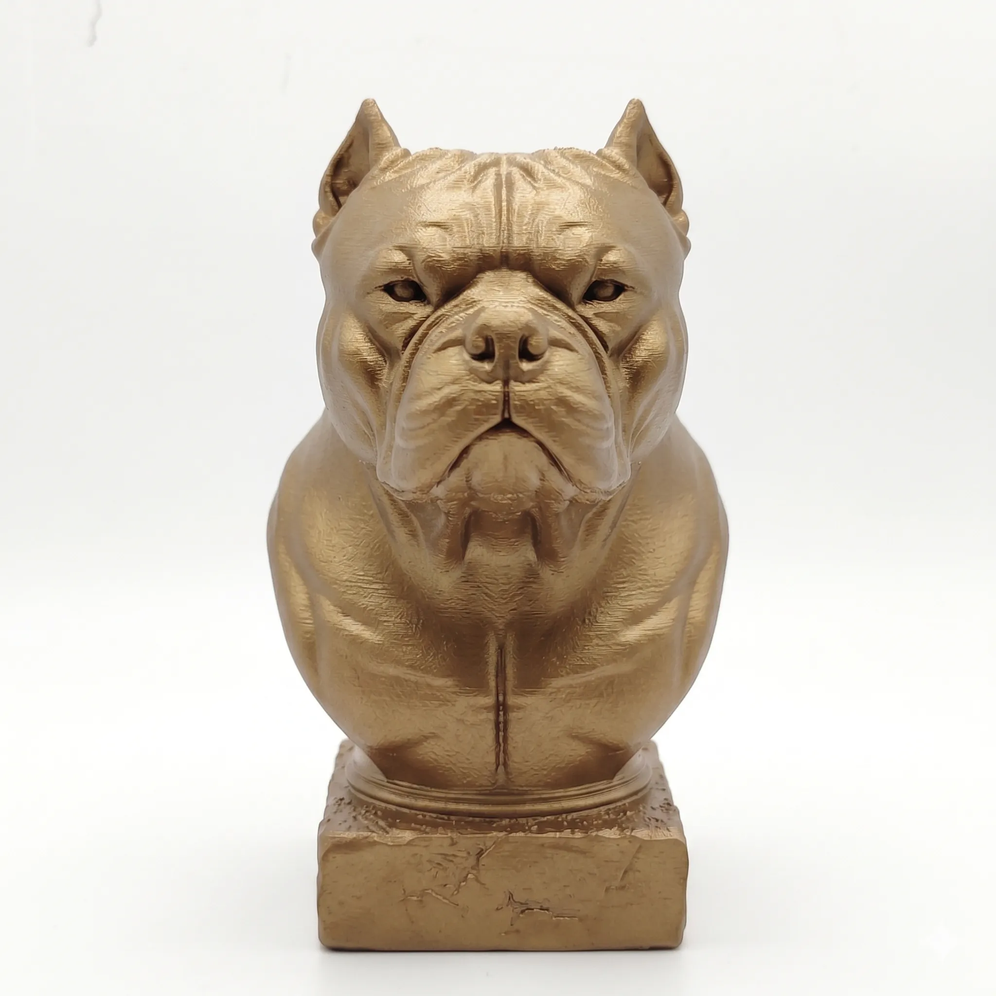 American Bully (Busto) - 15 cm