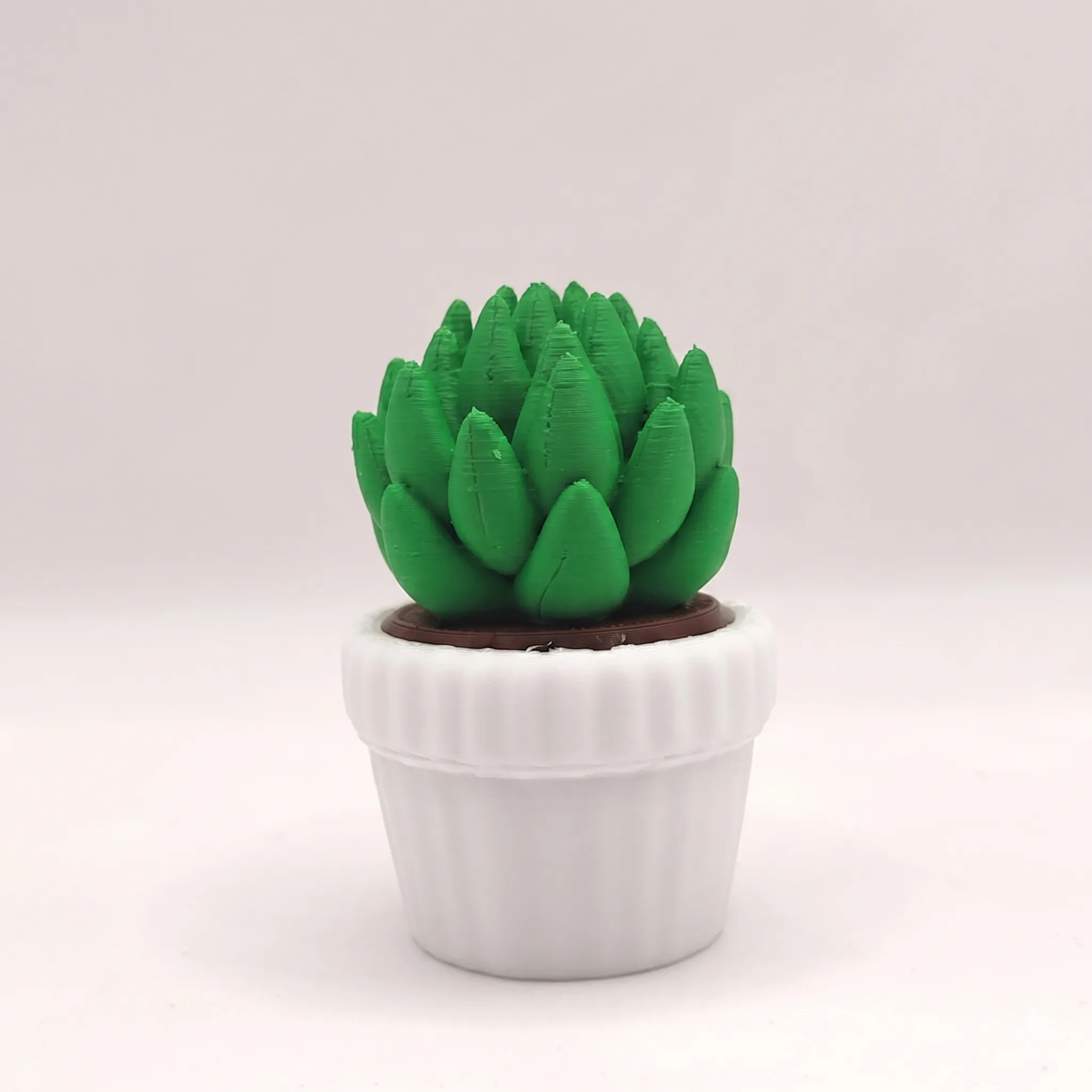 Suculenta (Clicker) - 6 cm
