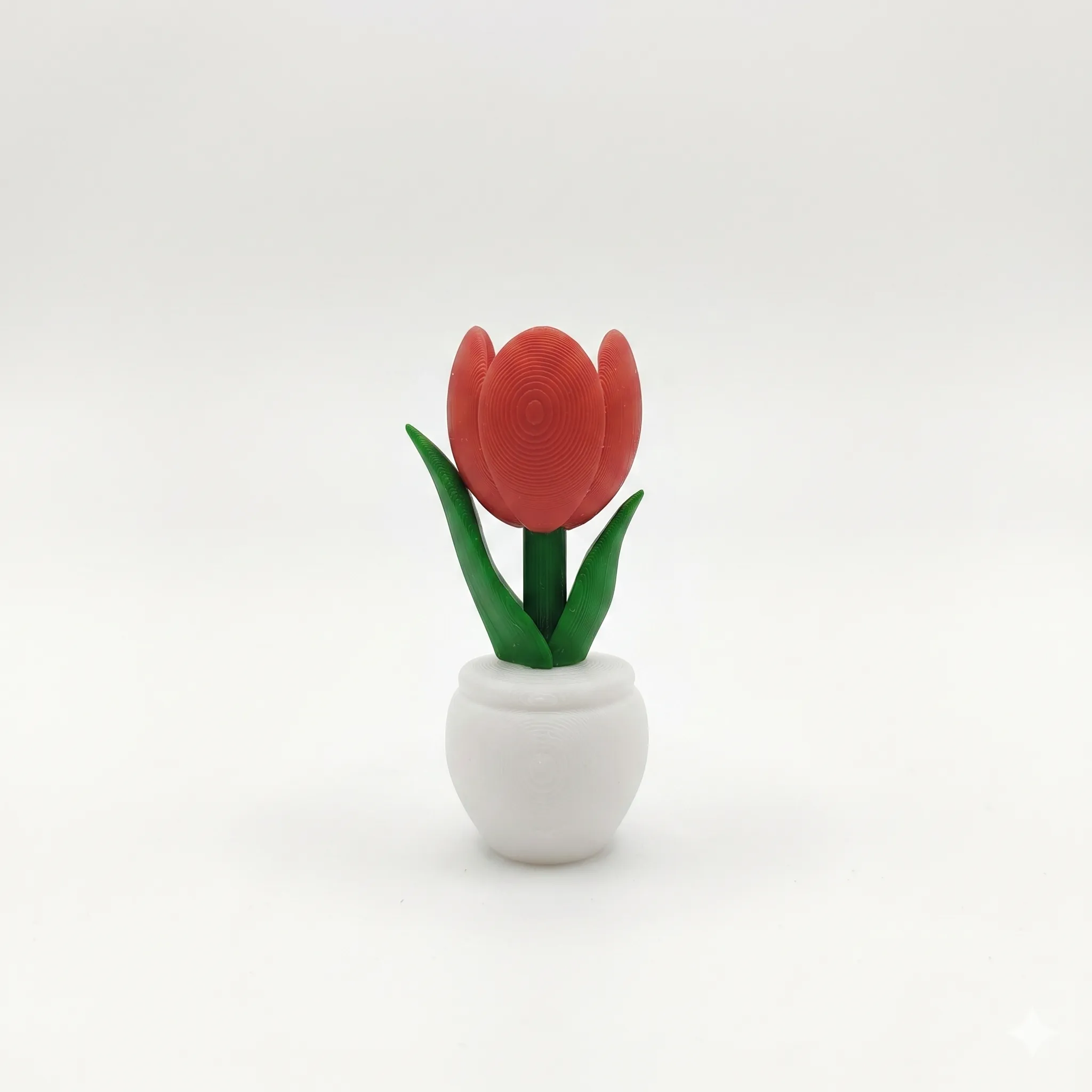 Tulipan para Refri - 6 cm