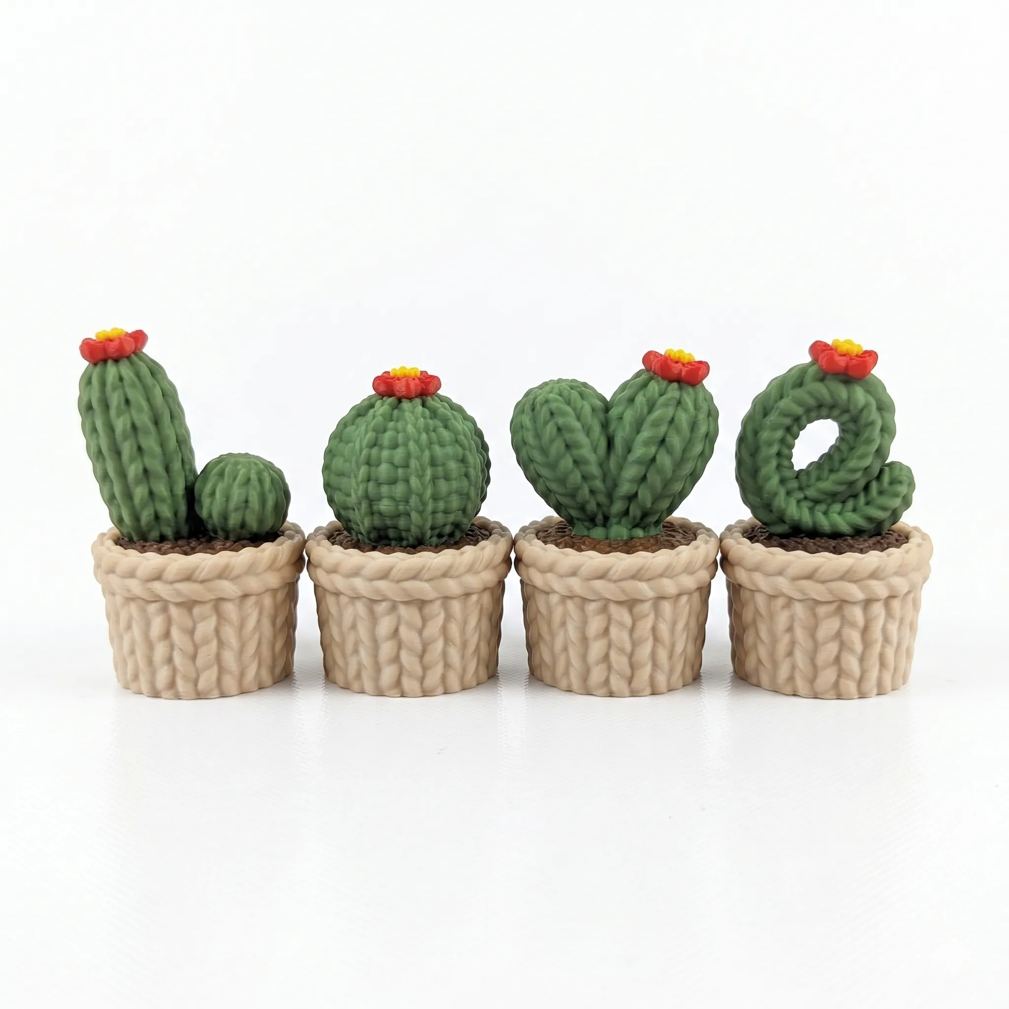Set Cactus Love - 18 cm