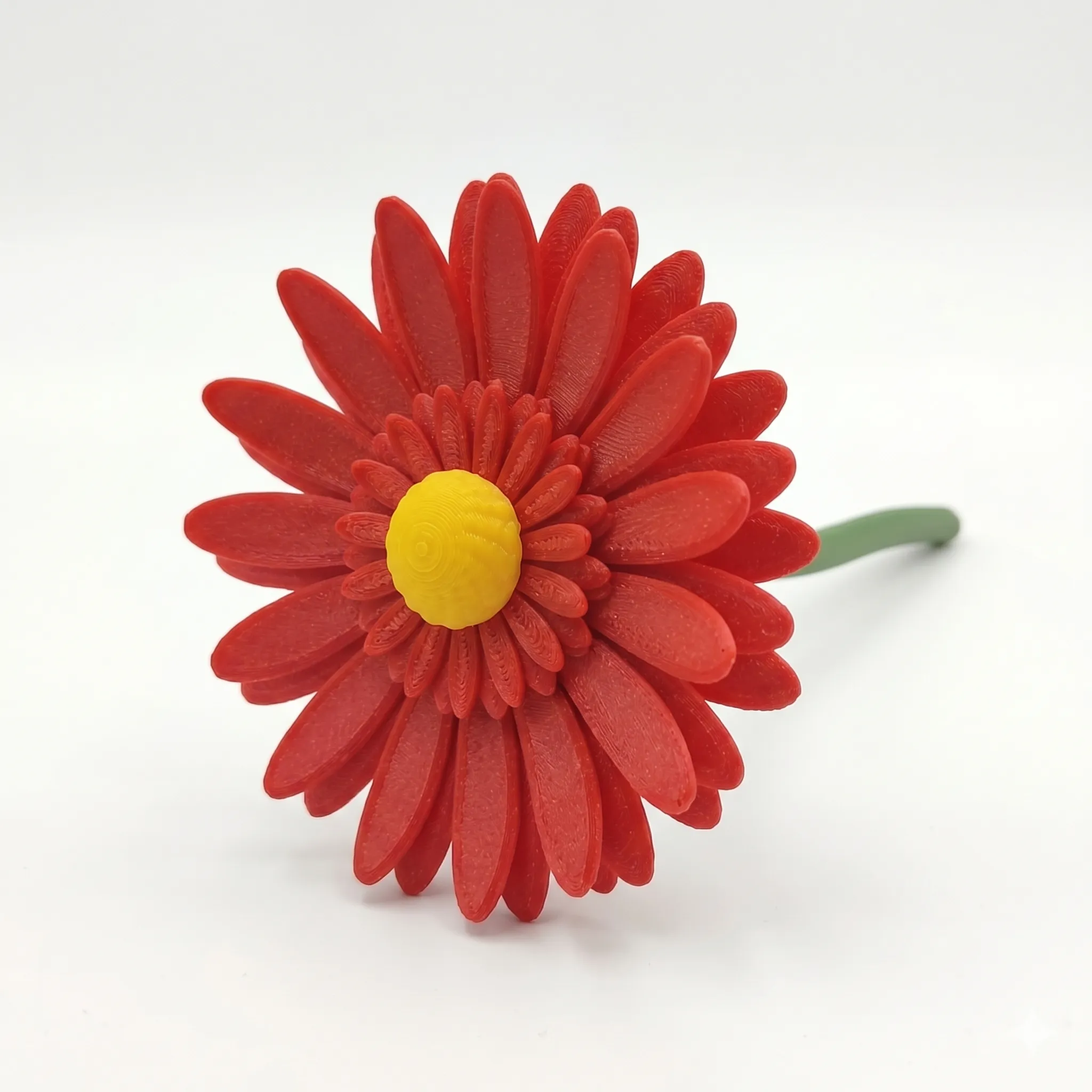 Herberas - 1 Flor (16 cm)