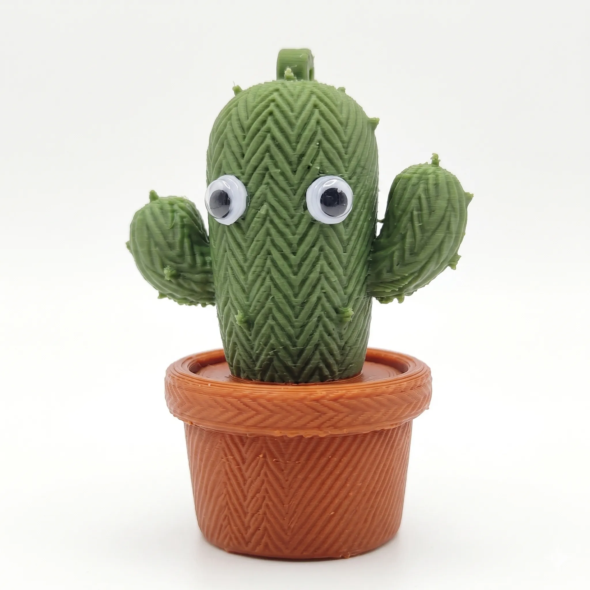 Cactus - 6 cm