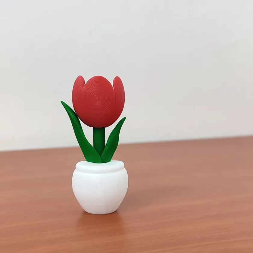 Tulipan para Pared