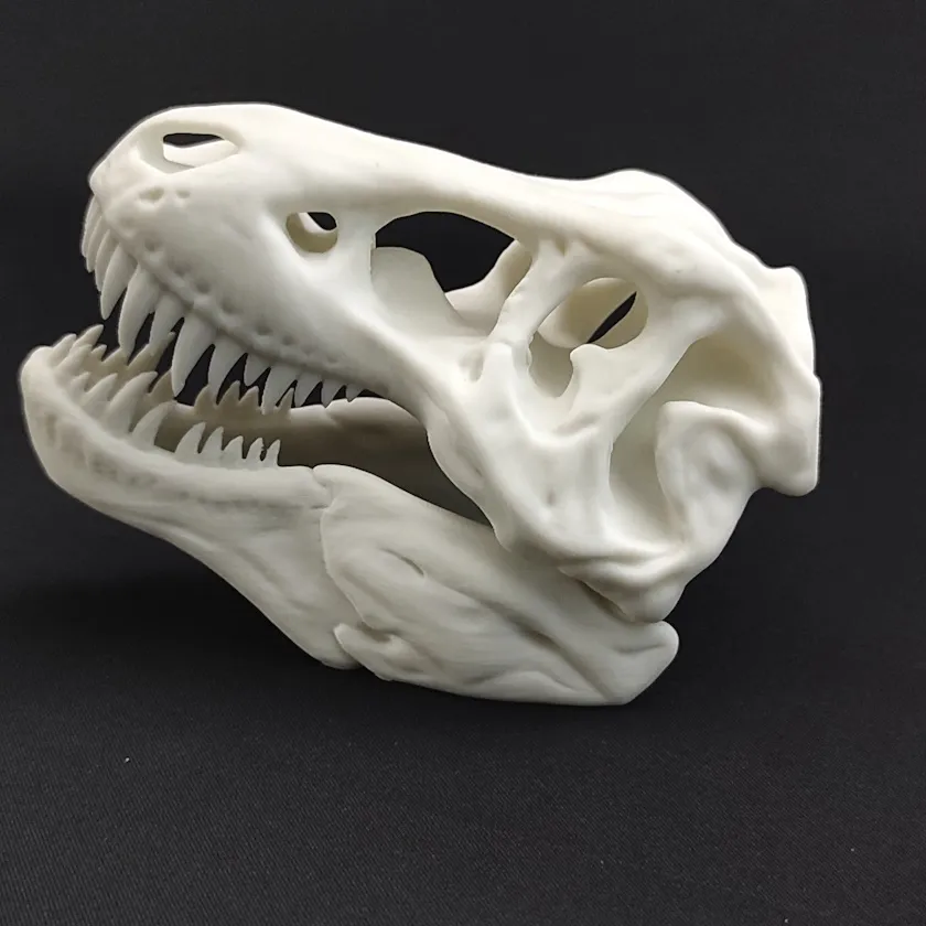Trex Skull - 12 cm