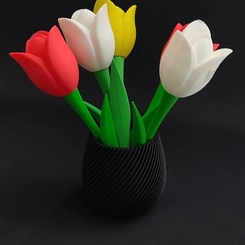 Tulipan - 20 cm