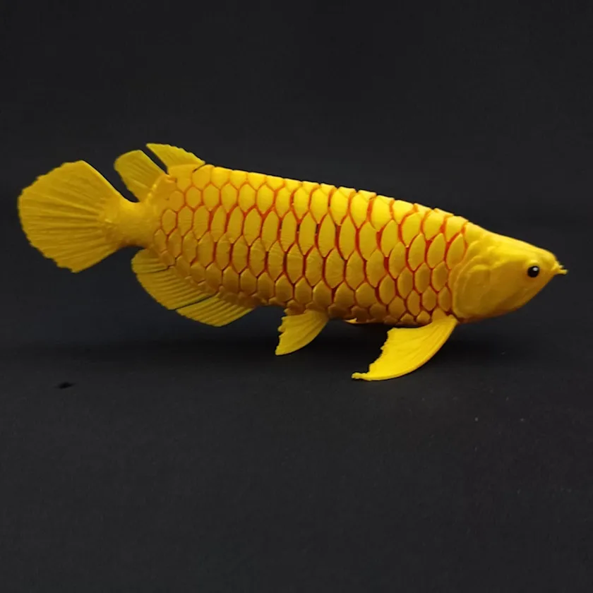 Arowana Asiatica Flexi - 16 cm