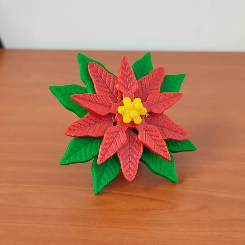 Noche Buena Chica - 10 cm