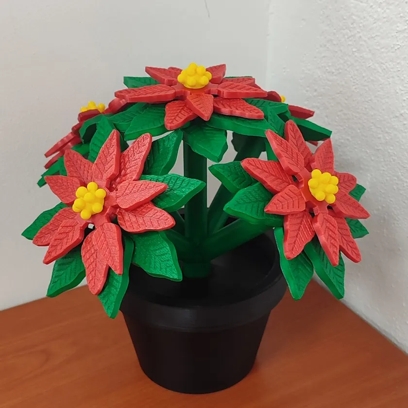 Noche Buena (Maceta) - 25 cm