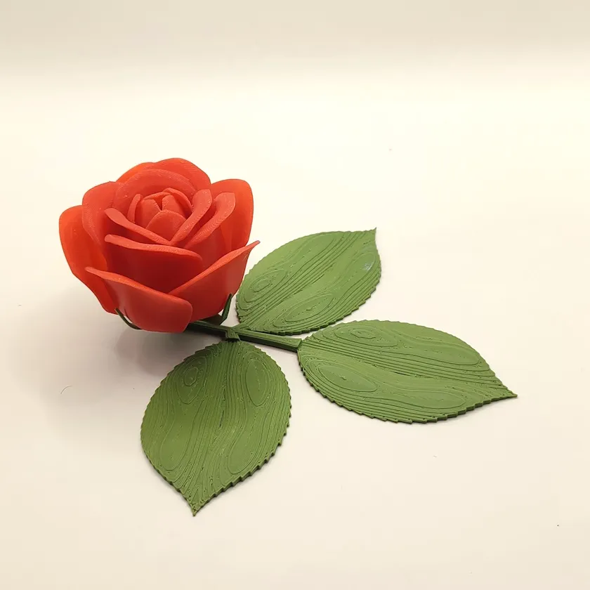 Rosa Tallo Corto - 15 cm